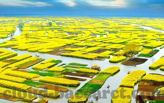 关于杏彩娱乐平台-杏彩娱乐平台，娱乐与风险并存的数字时代探索