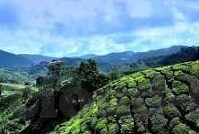 九游版本下载-科普，九游版本下载软软须知及绿玩之旅